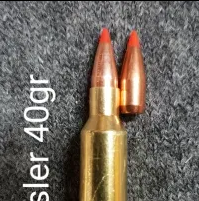 22 Nosler and 40gr Z-Max